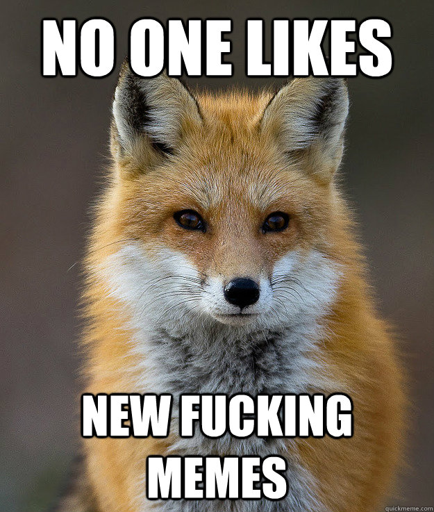 No one likes New Fucking Memes  Fun Fact Fox