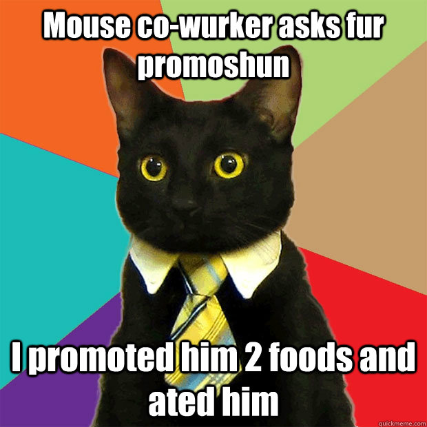 Mouse co-wurker asks fur promoshun I promoted him 2 foods and ated him  Business Cat