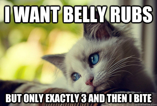 I want belly rubs but only exactly 3 and then I bite  First World Problems Cat