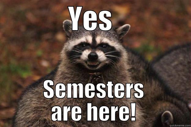 ploting reve - YES  SEMESTERS ARE HERE! Evil Plotting Raccoon