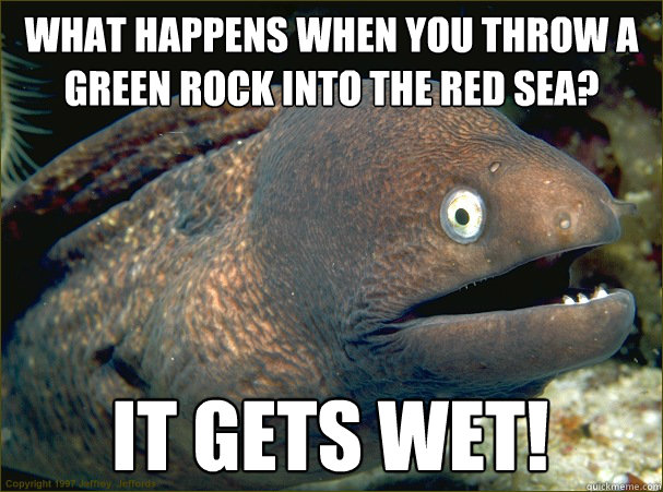 what happens when you throw a green rock into the red sea? it gets wet!  Bad Joke Eel