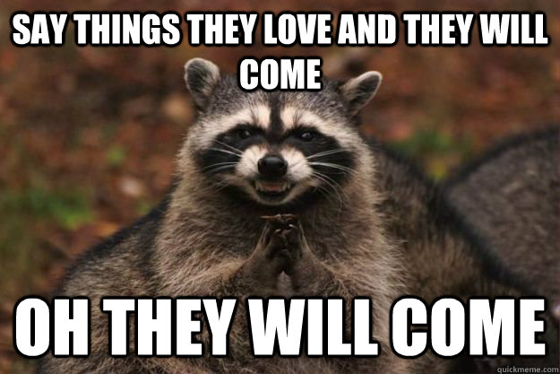 Say things they love and they will come  oh they will come   Evil Plotting Raccoon