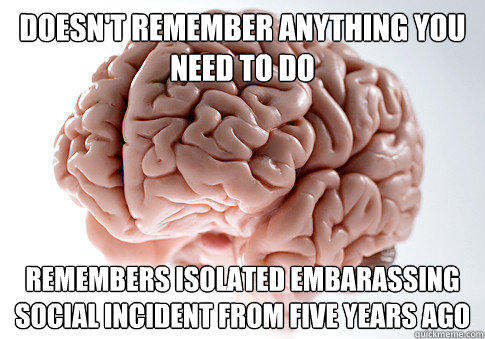 Doesn't remember anything you need to do Remembers isolated embarassing social incident from five years ago  