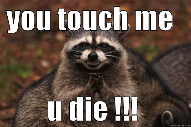 YOU TOUCH ME  U DIE !!! Evil Plotting Raccoon