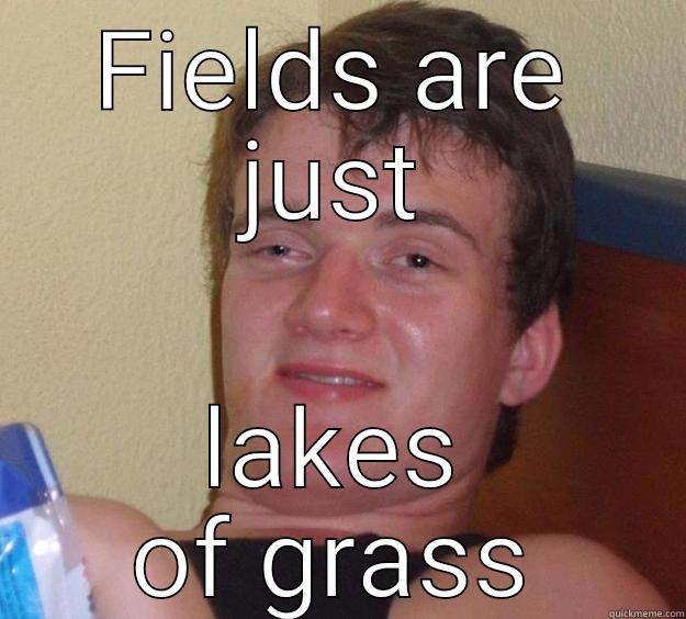 FIELDS ARE JUST LAKES OF GRASS 10 Guy