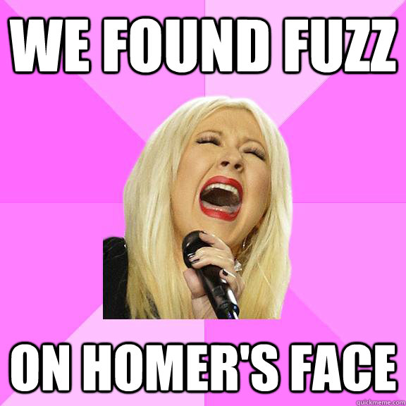 We found fuzz On homer's face  Wrong Lyrics Christina