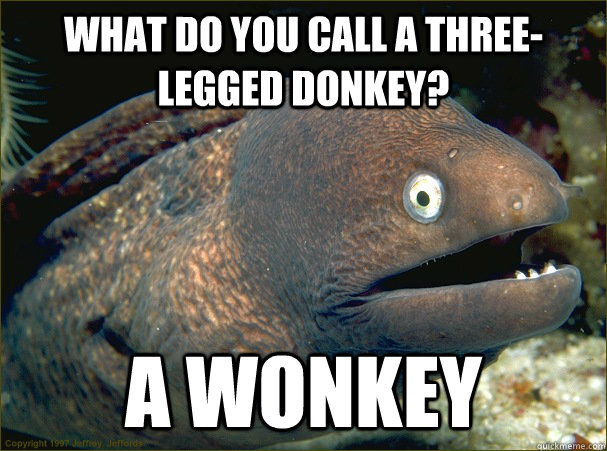 What do you call a three-legged donkey? A wonkey - What do you call a three-legged donkey? A wonkey  Bad Joke Eel