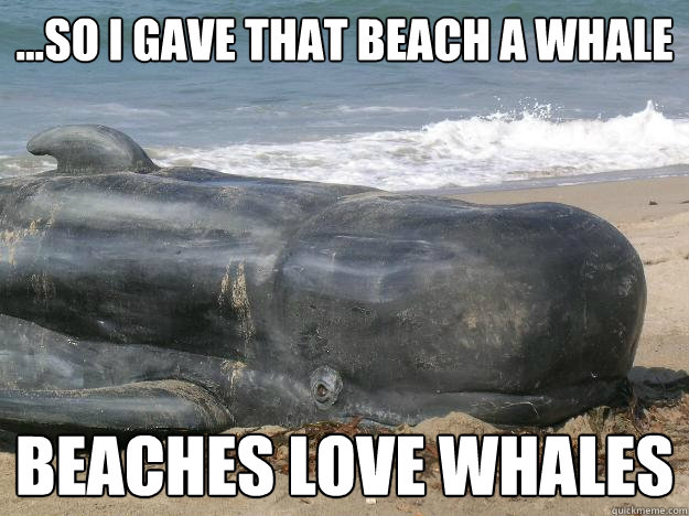 ...so i gave that beach a whale beaches love whales - ...so i gave that beach a whale beaches love whales  Beaches Love Whales