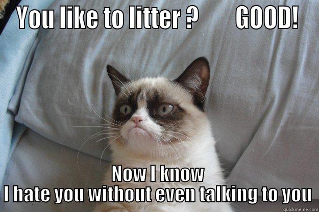 Grumpy can dont litter - YOU LIKE TO LITTER ?        GOOD! NOW I KNOW I HATE YOU WITHOUT EVEN TALKING TO YOU Grumpy Cat