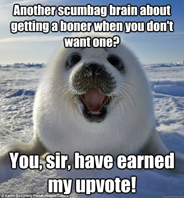 Another scumbag brain about getting a boner when you don't want one? You, sir, have earned my upvote!  Easily Pleased Seal