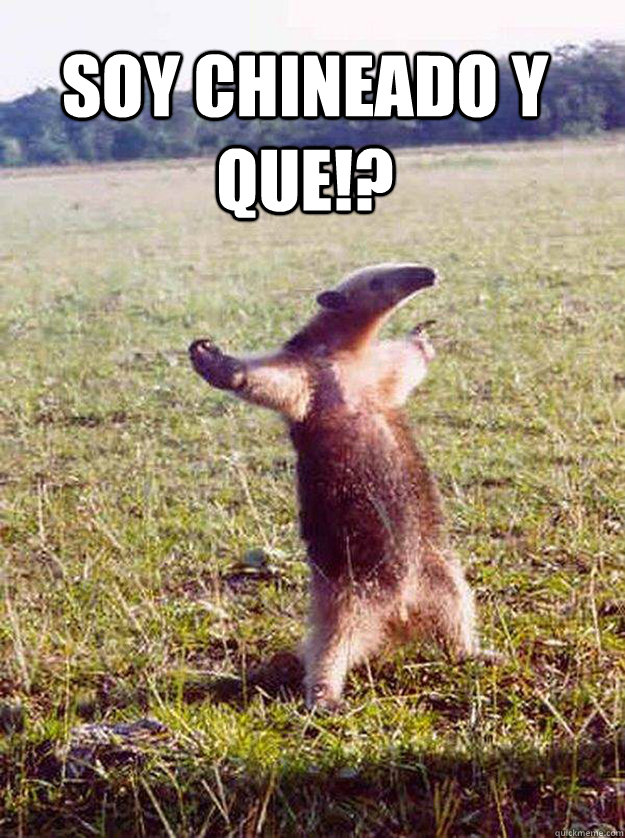 soy chineado y que!? - soy chineado y que!?  come at me bro anteater