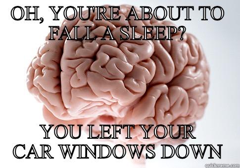 OH, YOU'RE ABOUT TO FALL A SLEEP? YOU LEFT YOUR CAR WINDOWS DOWN Scumbag Brain