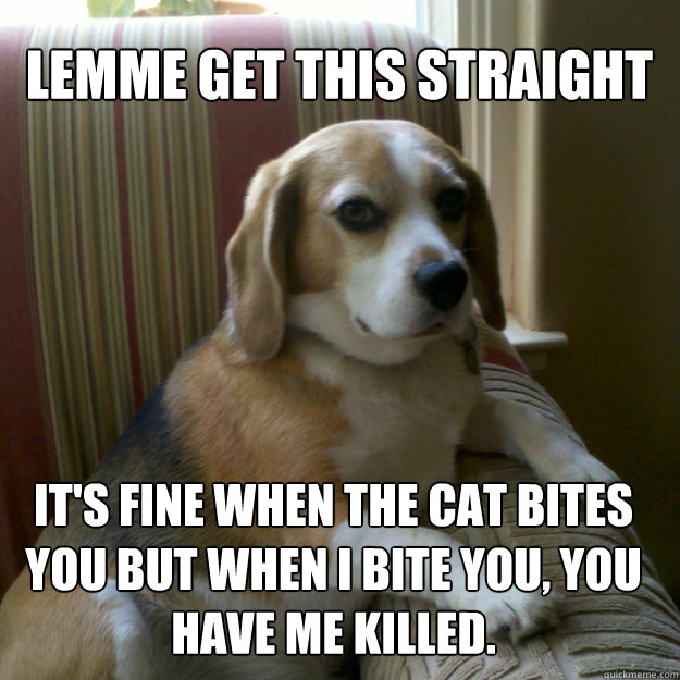 lemme get this straight it's fine when the cat bites you but when i bite you, you have me killed. - lemme get this straight it's fine when the cat bites you but when i bite you, you have me killed.  judgmental dog