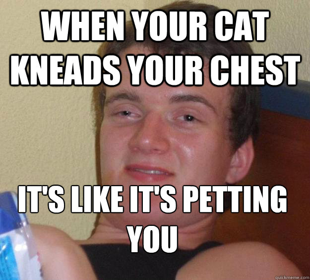 When your cat kneads your chest it's like it's petting you
 - When your cat kneads your chest it's like it's petting you
  10 Guy