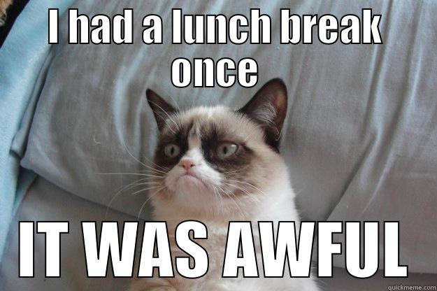 MEETING HELL - I HAD A LUNCH BREAK ONCE IT WAS AWFUL Grumpy Cat