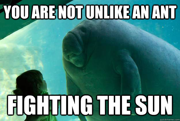 You are not unlike an ant fighting the sun  Overlord Manatee