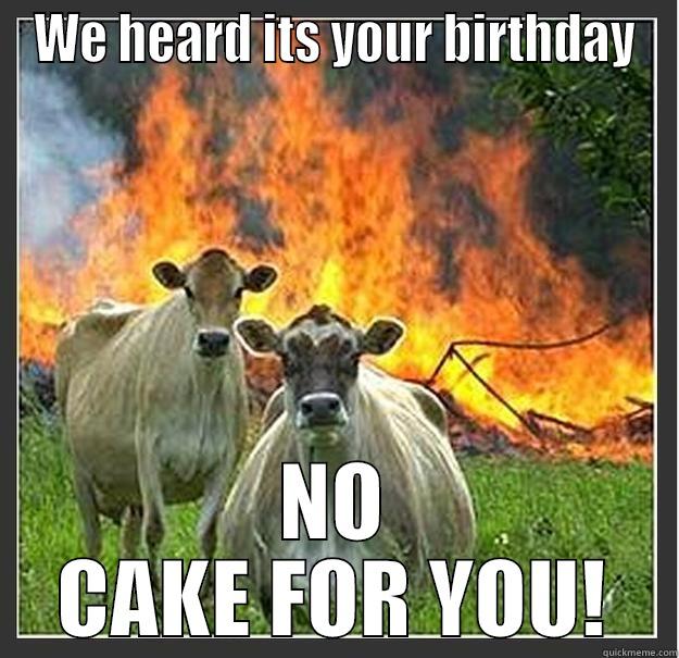 WE HEARD ITS YOUR BIRTHDAY NO CAKE FOR YOU! Evil cows