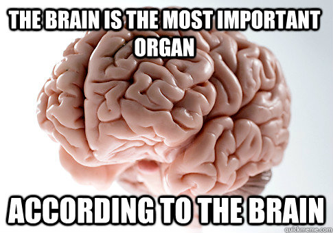 THE BRAIN IS THE MOST IMPORTANT ORGAN ACCORDING TO THE BRAIN - THE BRAIN IS THE MOST IMPORTANT ORGAN ACCORDING TO THE BRAIN  Scumbag Brain