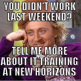 YOU DIDN'T WORK LAST WEEKEND? TELL ME MORE ABOUT IT TRAINING AT NEW HORIZONS Condescending Wonka