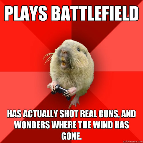 Plays Battlefield Has actually shot real guns, and wonders where the wind has gone.  Gaming Gopher