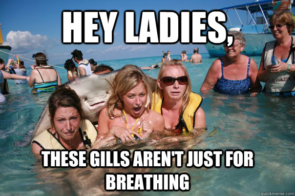 Hey ladies, These gills aren't just for breathing  Pervert Stingray