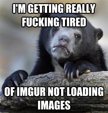 I'm getting really fucking tired of imgur not loading images - I'm getting really fucking tired of imgur not loading images  Confession Bear