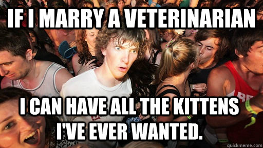 If I marry a veterinarian  I can have all the kittens I've ever wanted.  Sudden Clarity Clarence