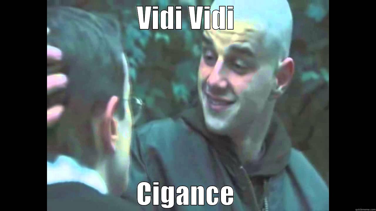 Novica marjanovic - VIDI VIDI CIGANCE Misc