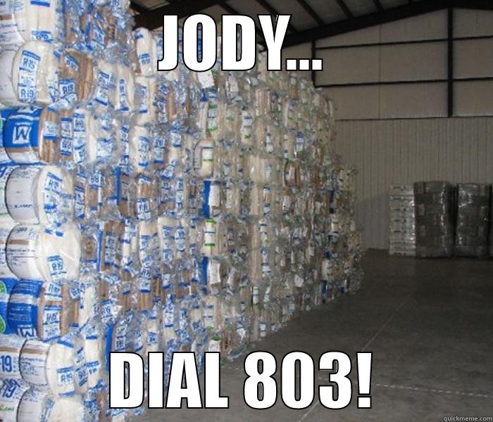 Insulation Day! - JODY... DIAL 803! Misc