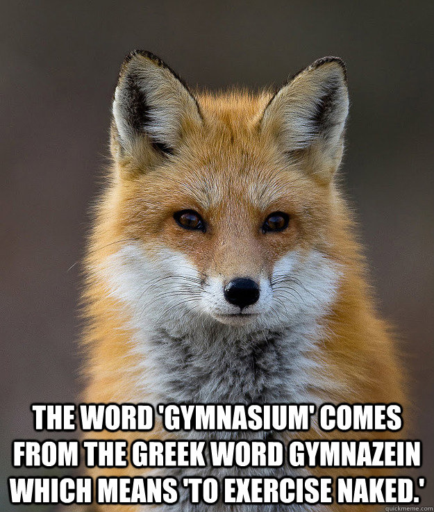  The word 'gymnasium' comes from the Greek word gymnazein which means 'to exercise naked.'  Fun Fact Fox