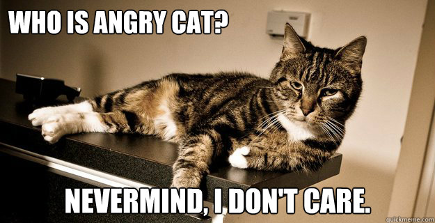 who is angry cat? nevermind, i don't care.  