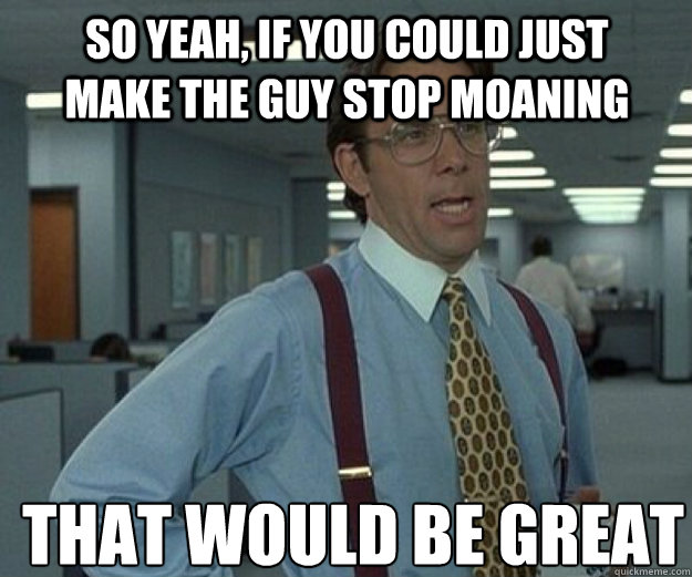 So yeah, if you could just make the guy stop moaning THAT WOULD BE GREAT  that would be great