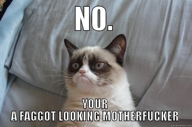 No Your a  - N0. YOUR A FAGGOT LOOKING MOTHERFUCKER Grumpy Cat