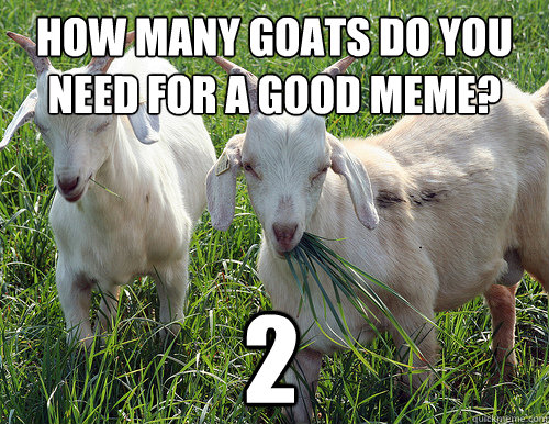 how many goats do you need for a good meme? 2 - how many goats do you need for a good meme? 2  Goats