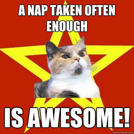 A nap taken often enough IS AWESOME!  Lenin Cat