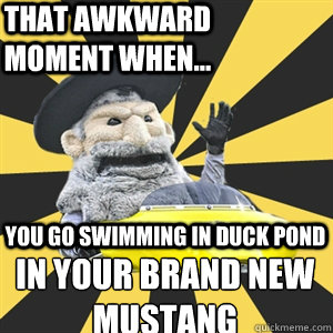 That awkward moment when... you go swimming in duck pond  in your brand new mustang - That awkward moment when... you go swimming in duck pond  in your brand new mustang  Misc