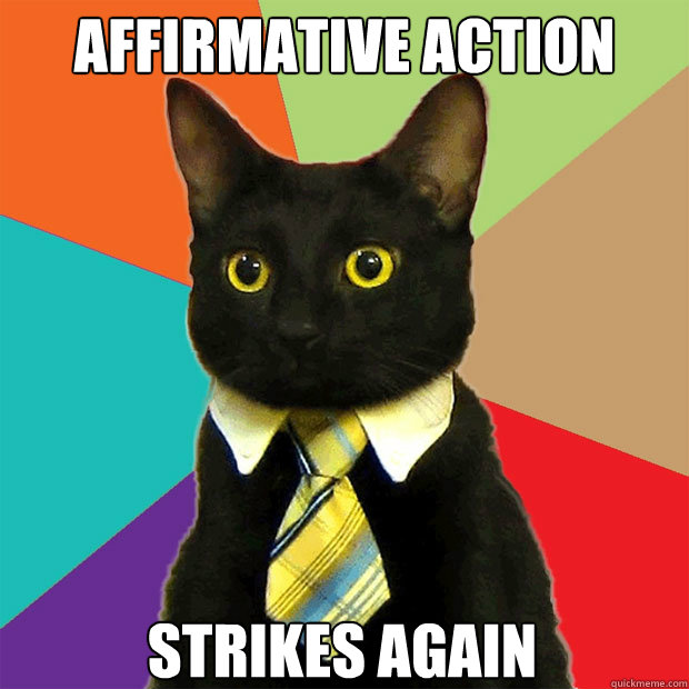 Affirmative action Strikes Again - Affirmative action Strikes Again  Business Cat