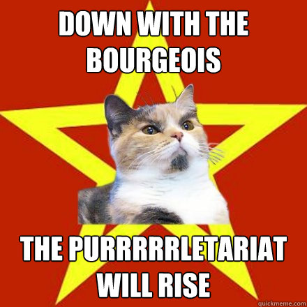 Down with the Bourgeois The purrrrrletariat will rise  Lenin Cat