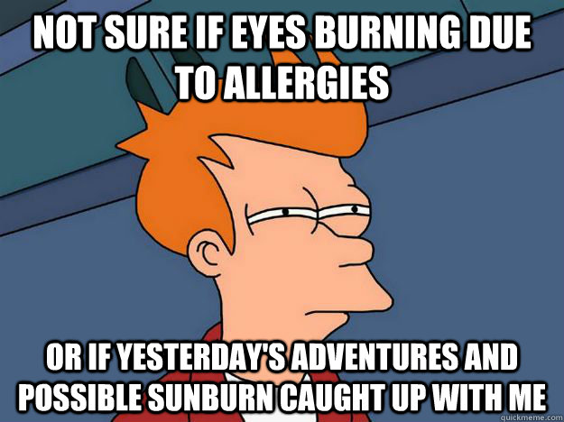 Not sure if eyes burning due to allergies Or if yesterday's adventures and possible sunburn caught up with me - Not sure if eyes burning due to allergies Or if yesterday's adventures and possible sunburn caught up with me  Skeptical fry