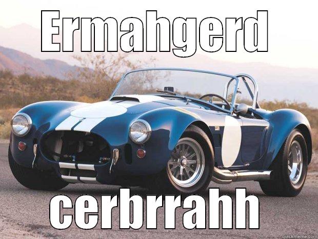 ERMAHGERD CERBRRAHH Misc