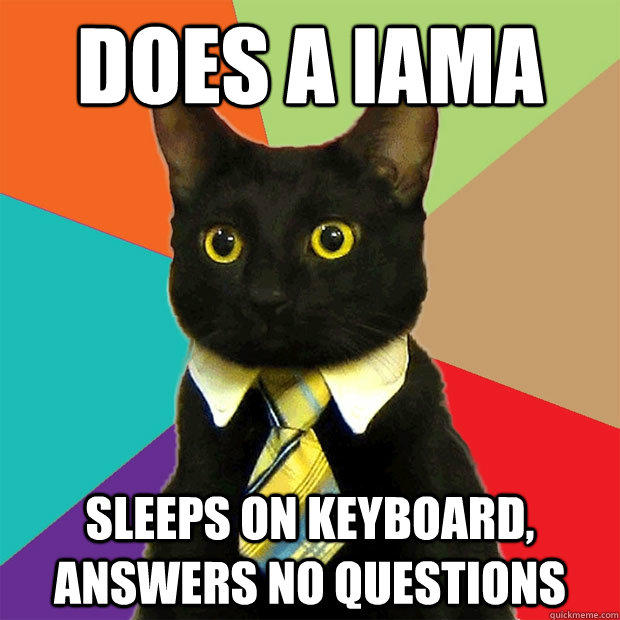 Does a IAMA Sleeps on keyboard, answers no questions  