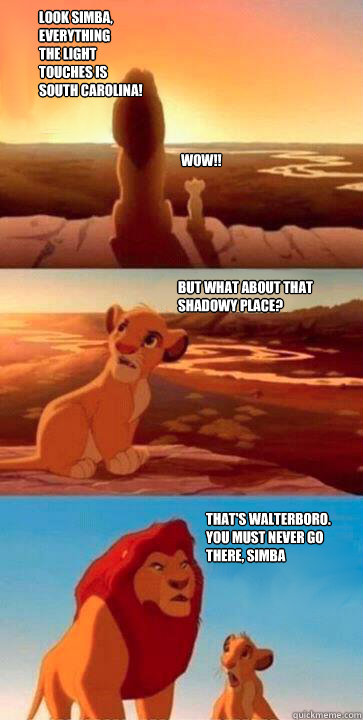 look simba,
everything
the light
touches is
south carolina! WOW!! But what about that shadowy place? That's Walterboro.
you must never go
there, simba  simba mufasa meme