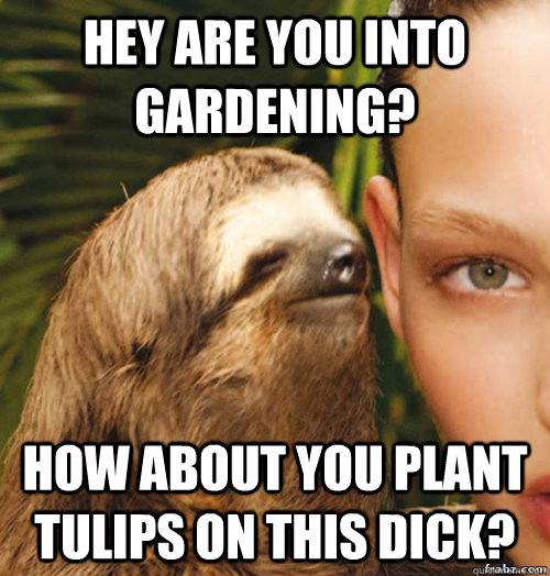 Hey are you into gardening? How about you plant tulips on this dick?  rape sloth