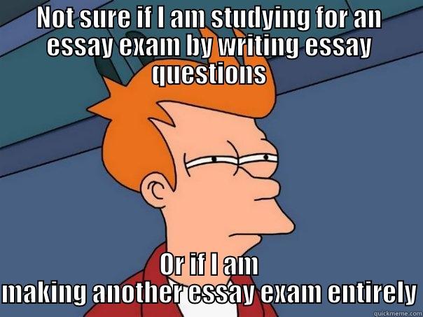 NOT SURE IF I AM STUDYING FOR AN ESSAY EXAM BY WRITING ESSAY QUESTIONS OR IF I AM MAKING ANOTHER ESSAY EXAM ENTIRELY Futurama Fry