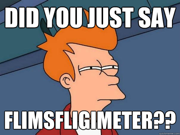 did you just say flimsfligimeter?? - did you just say flimsfligimeter??  Futurama Fry