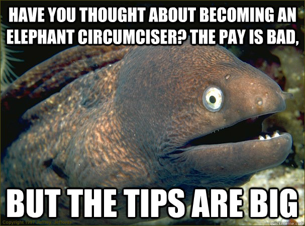 Have you thought about becoming an elephant circumciser? The pay is bad, But the tips are big  Bad Joke Eel