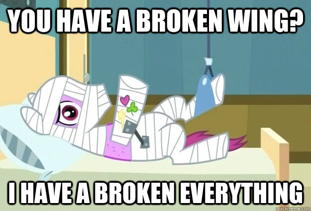 you have a broken wing? i have a broken everything  Body-Cast FiM