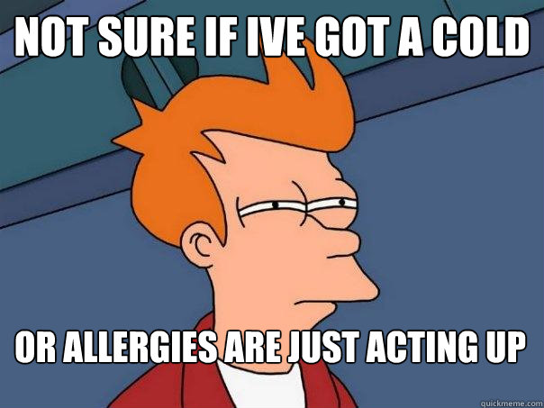 not sure if ive got a cold or allergies are just acting up  Futurama Fry