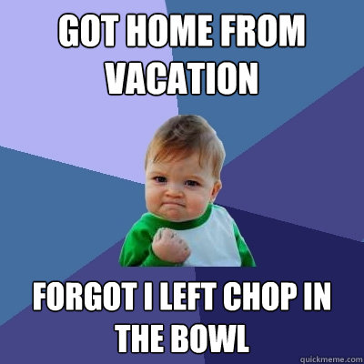 got home from vacation forgot i left chop in the bowl - got home from vacation forgot i left chop in the bowl  Success Kid