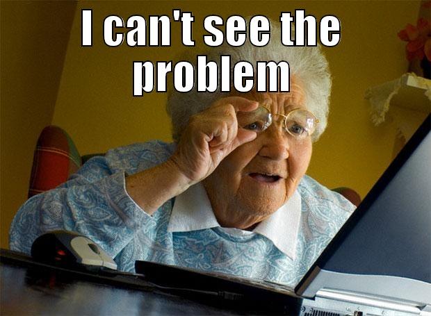 I CAN'T SEE THE PROBLEM  Grandma finds the Internet